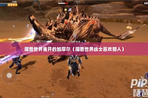 魔兽世界谁开的加摩尔（魔兽世界战士喜欢猎人）